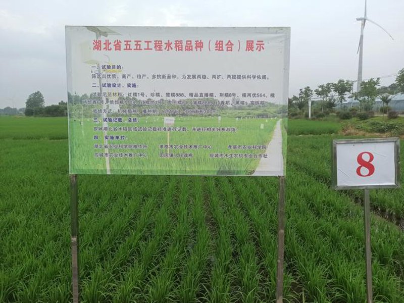 土地整理行业的最新动态与发展趋势