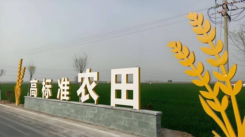 走进山西农业开发：选购指南